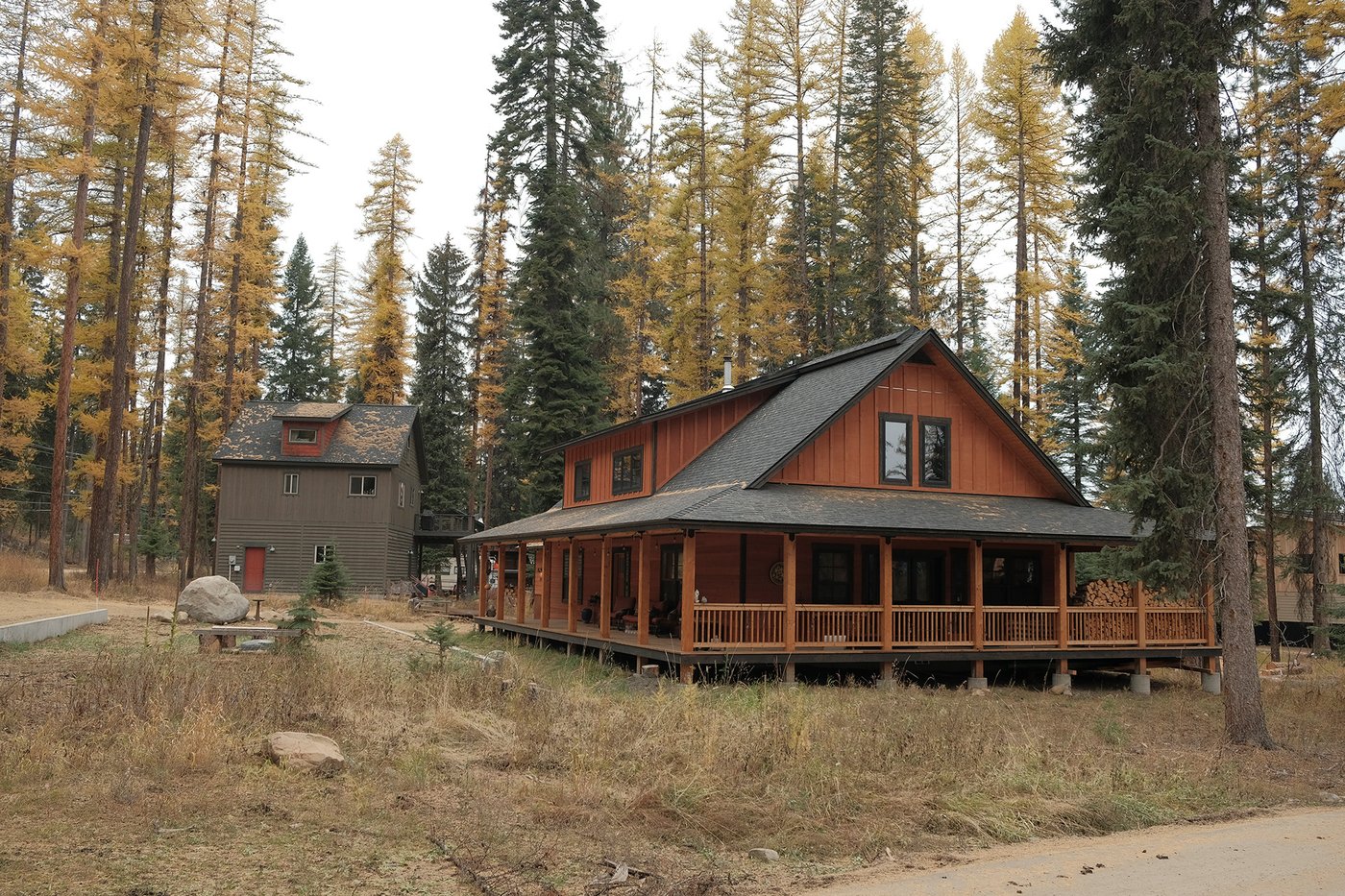 Moss and algae growing on a residential roof in Boise Idaho, when to clean vs replace