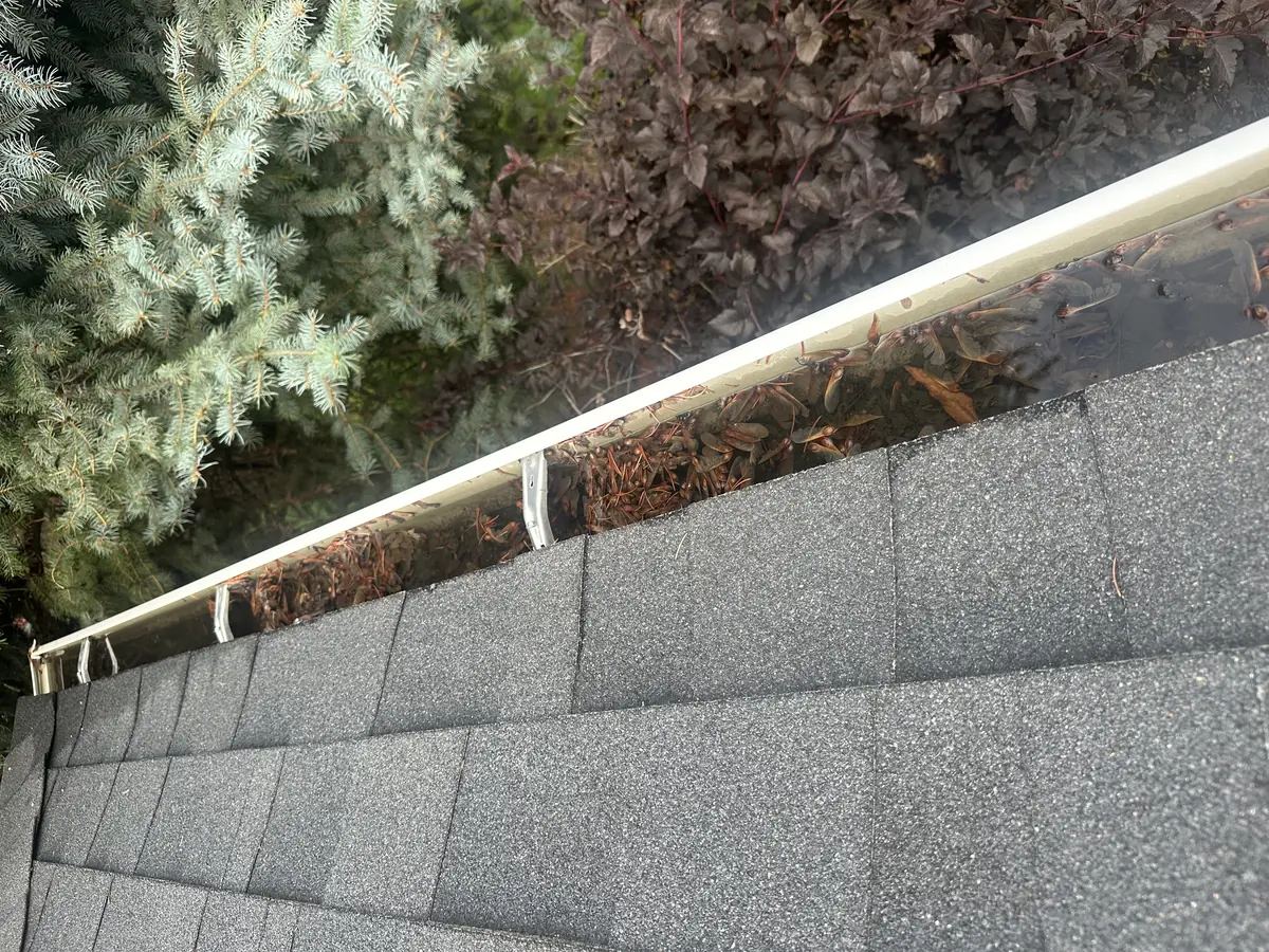 Clogged gutters pine needles debris Boise Idaho gutter maintenance